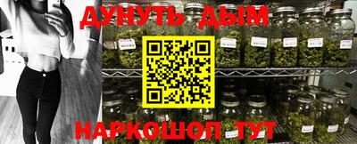 МДПВ Брянск