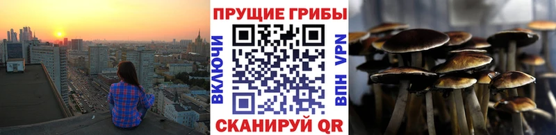 наркота  Аша  Галлюциногенные грибы прущие грибы 