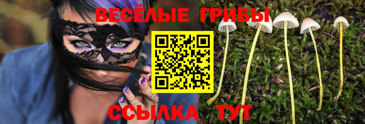 Псилоцибиновые грибы Psilocybe  Вход с VPN  Аша 