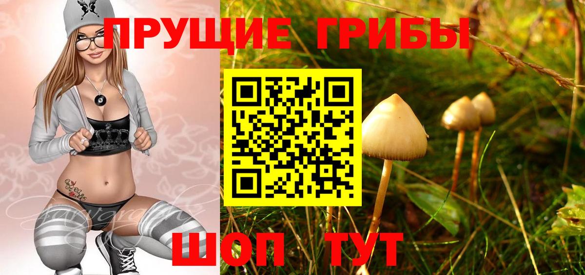 Галлюциногенные грибы мухоморы Аша
